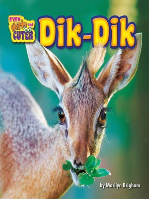 cover image of Dik-Dik